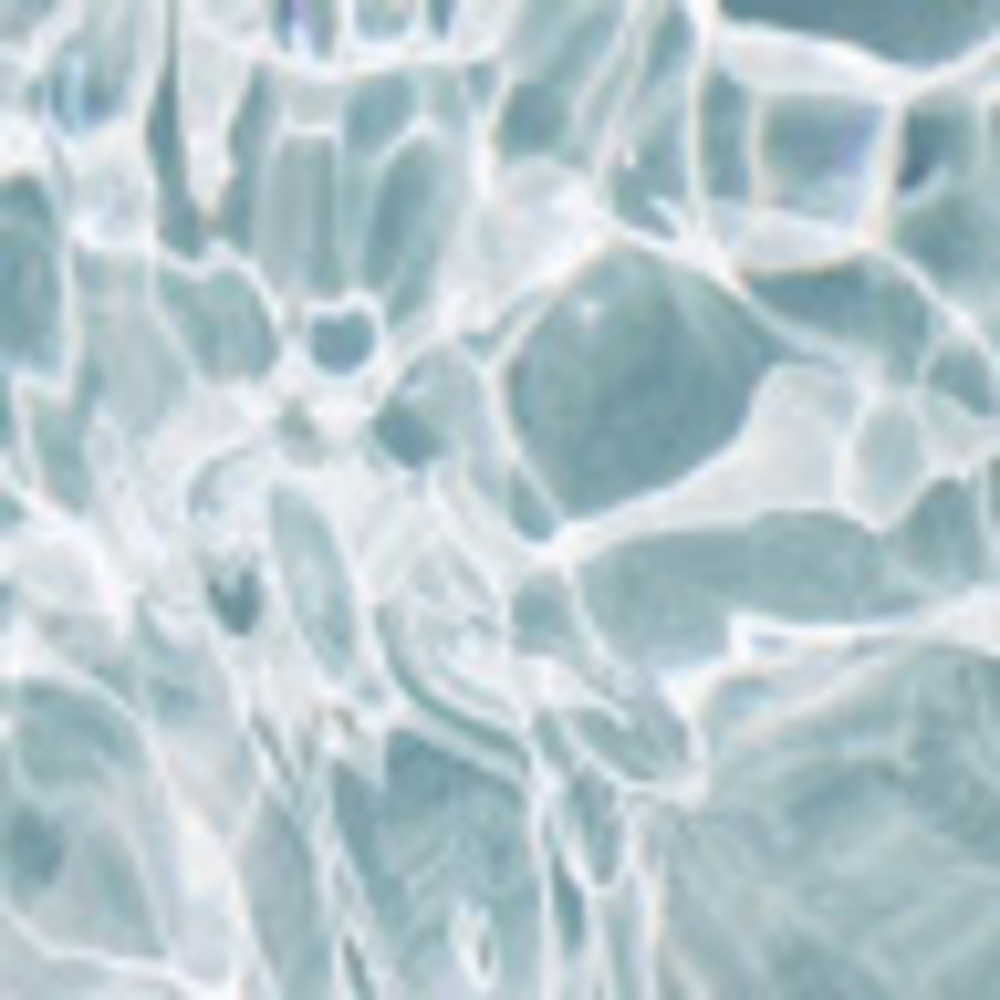 Meet your Posher, Niah